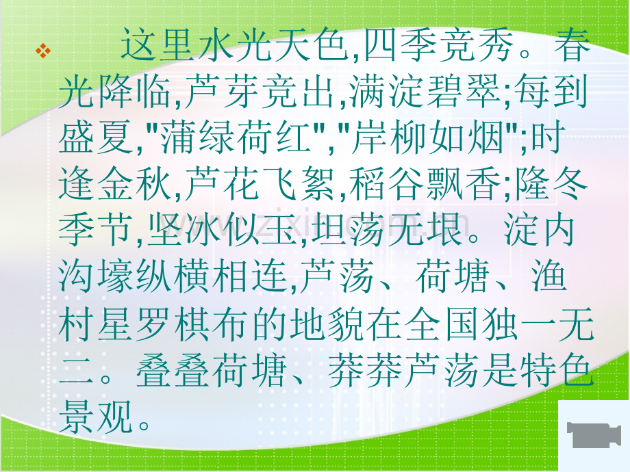 芦花荡fdfd.pptx_第2页