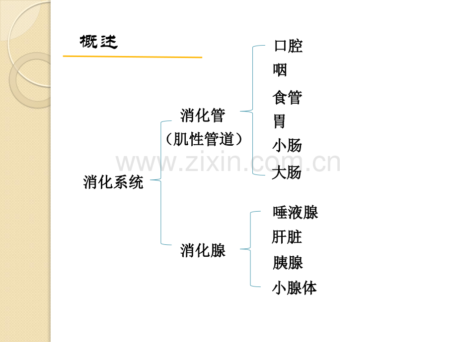 老年人消化系统疾病患者的护理.pptx_第2页
