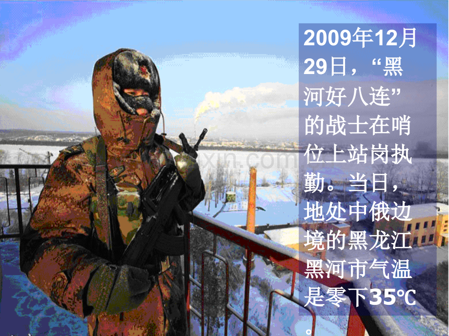 细胞生活的环境文.pptx_第1页