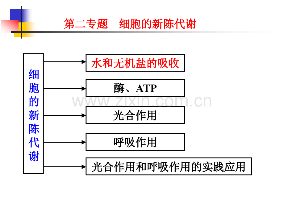 细胞的新陈代谢水和无机盐的吸收.pptx_第1页