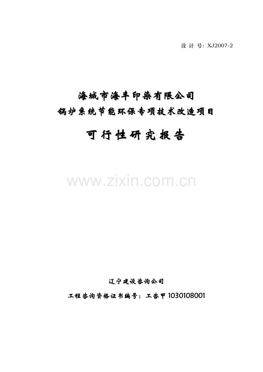 印染有限公司锅炉系统投资节能环保专项技术改造项目可行性研究报告.doc_第2页