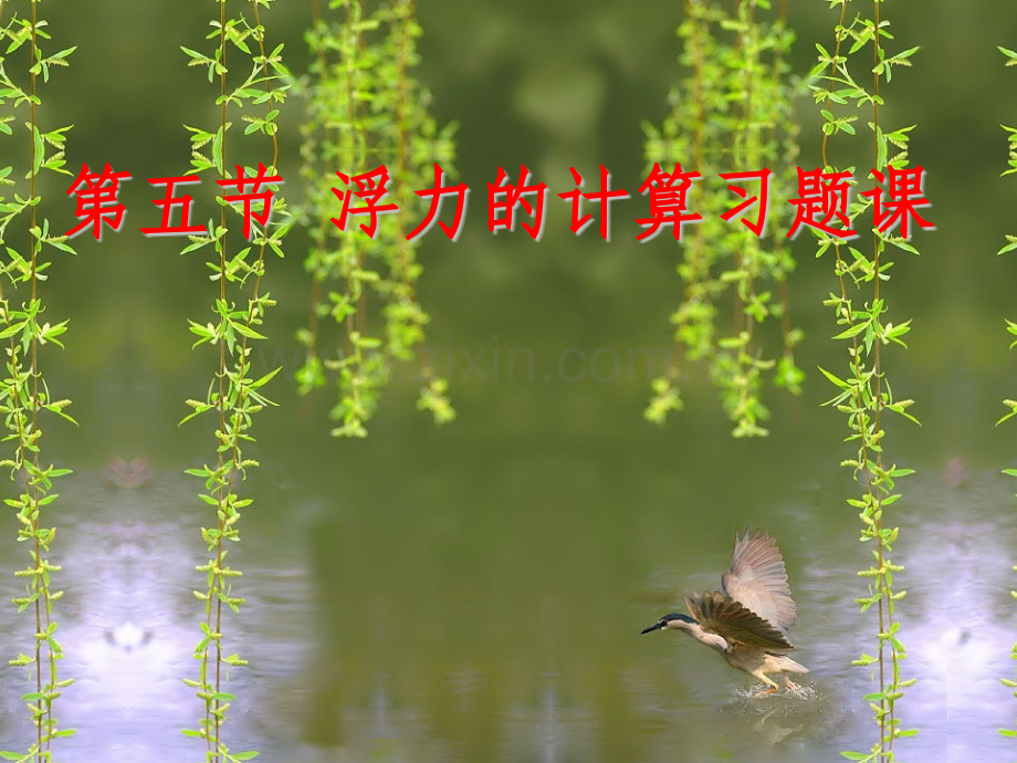浮力的计算.pptx_第1页