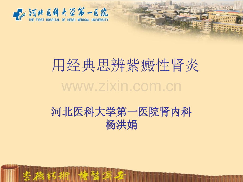 用思辨紫癜性肾炎杨洪娟.pptx_第1页