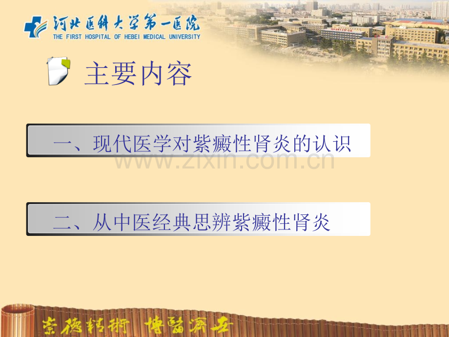 用思辨紫癜性肾炎杨洪娟.pptx_第2页