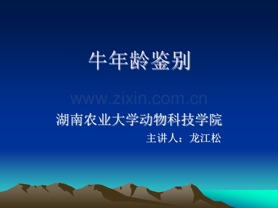牛的年龄鉴别模板.pptx_第1页