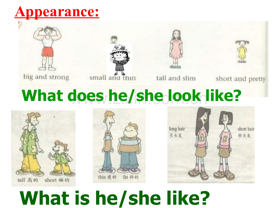 牛津译林版英语七上Unit1Thisisme复习.pptx_第2页