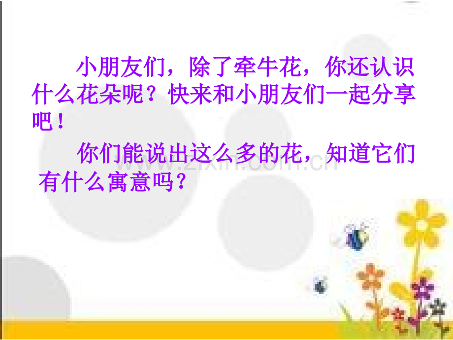 花儿寄深情.pptx_第2页
