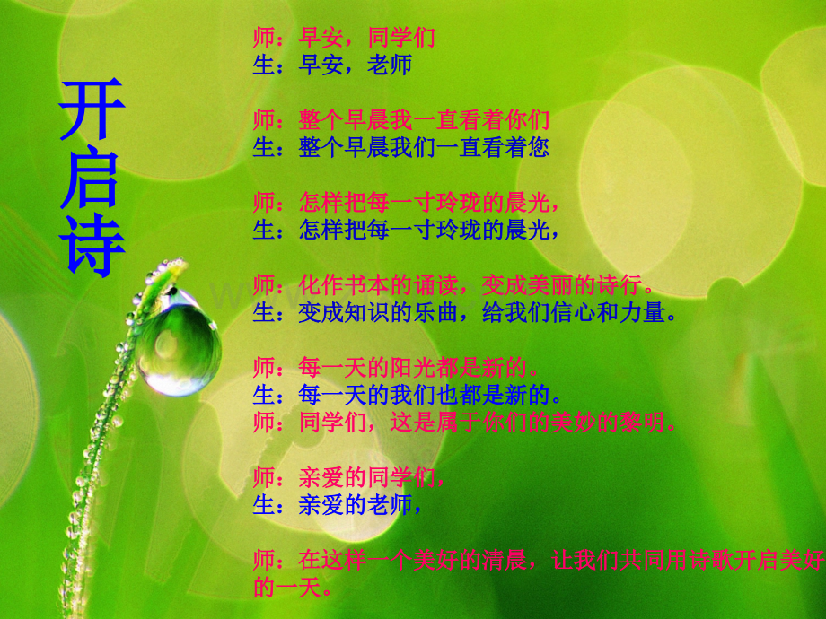 新苏教版语文一级下册叶子的眼睛.pptx_第1页