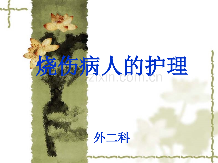烧伤伤员的护理.pptx_第1页