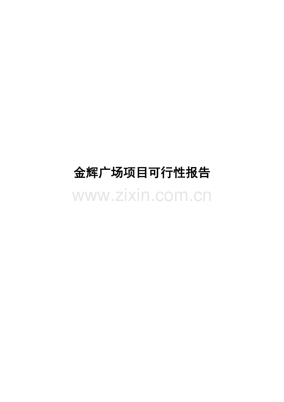 金辉广场项目申请建设可研报告.doc_第1页