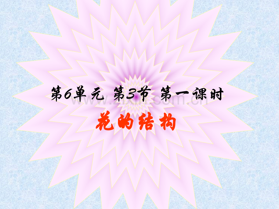 花的结构.pptx_第1页