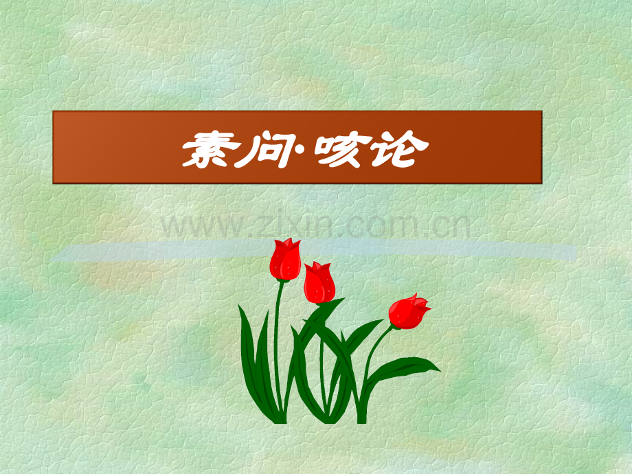素问六节藏象论篇第九.pptx_第1页