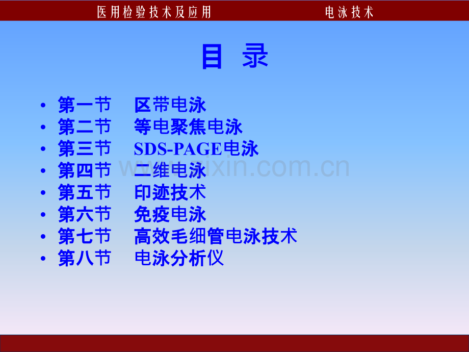 电泳技术.pptx_第1页