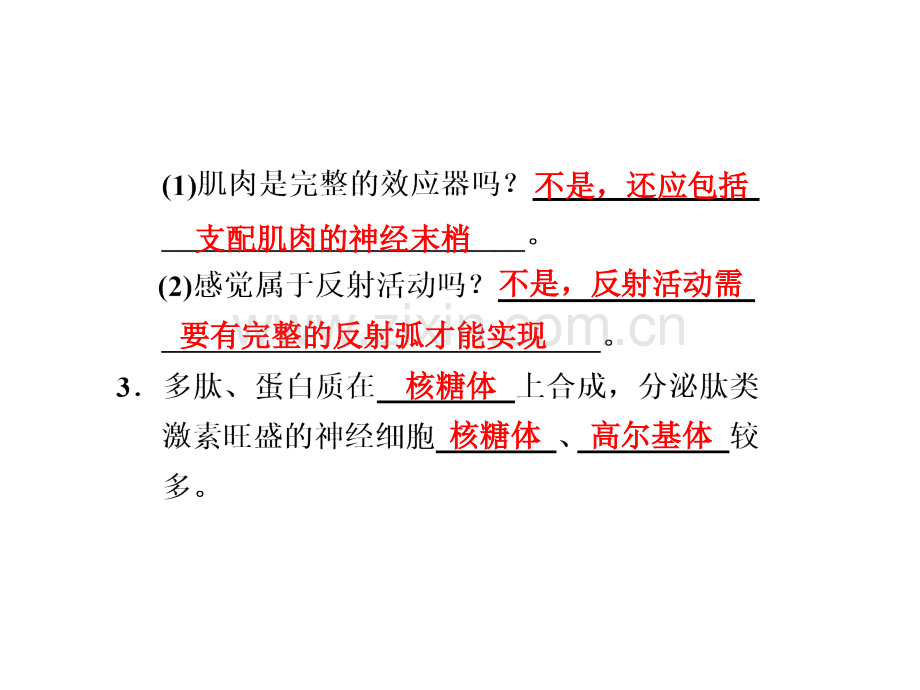 生命活动调节总复习.pptx_第2页