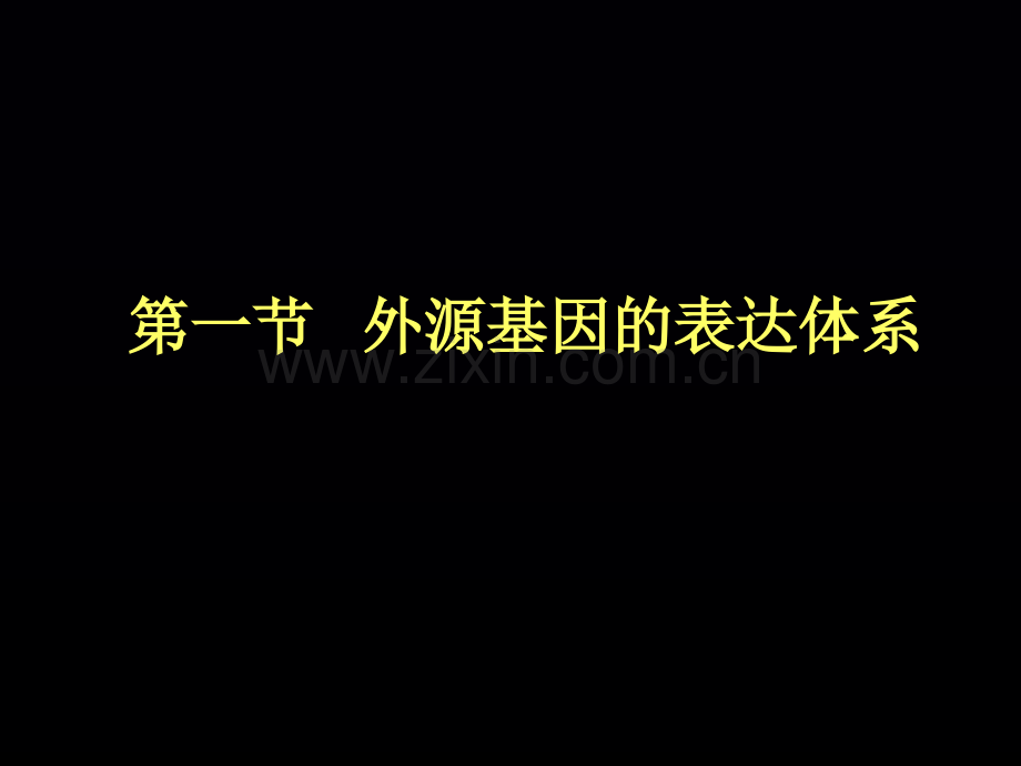 目的基因的表达黑板.pptx_第1页