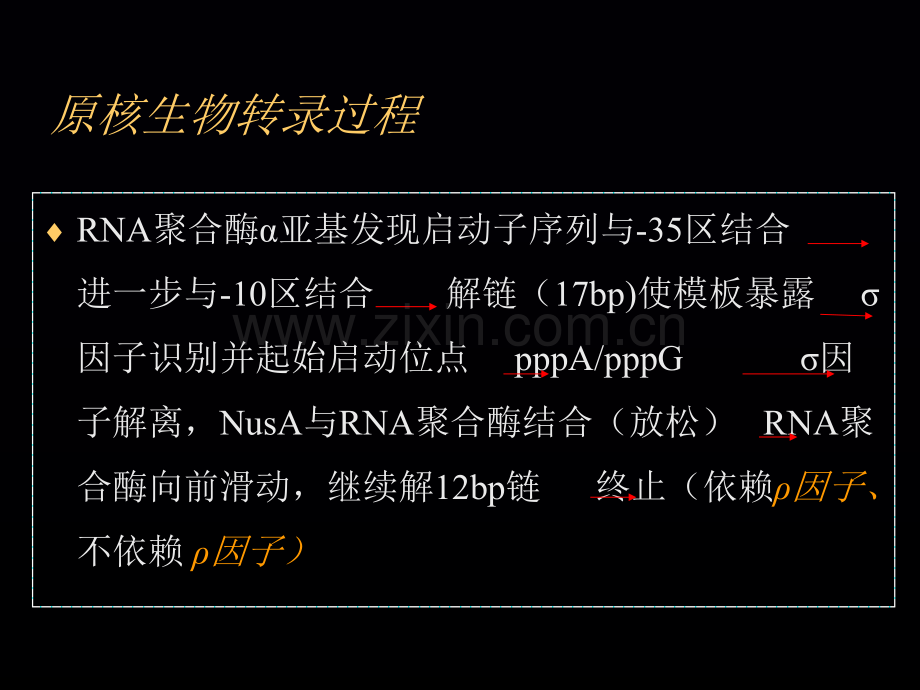 目的基因的表达黑板.pptx_第2页