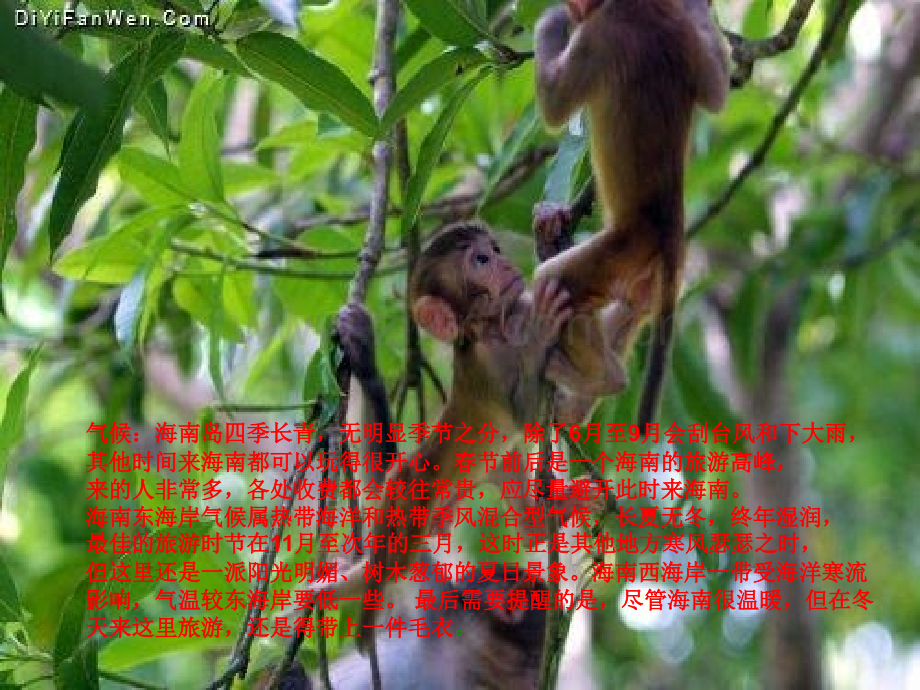 最深的记忆——家乡海南.pptx_第1页