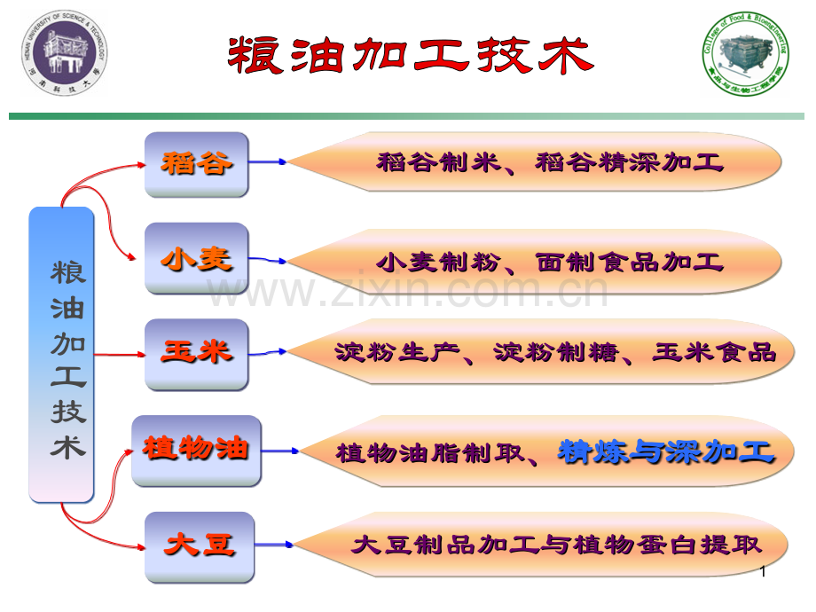 油脂精炼与深加工简.pptx_第1页