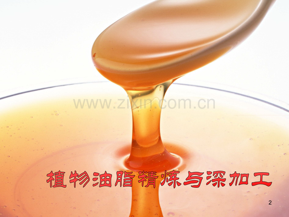 油脂精炼与深加工简.pptx_第2页