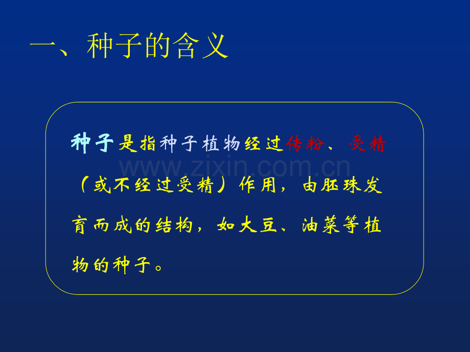 种子和幼苗.pptx_第2页
