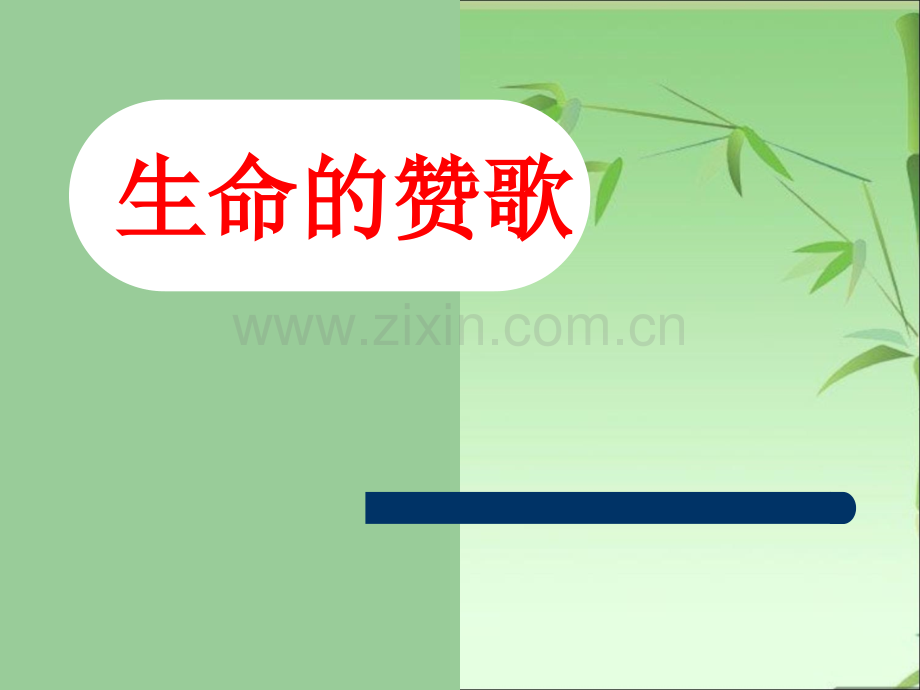 生命的壮歌课件.pptx_第1页
