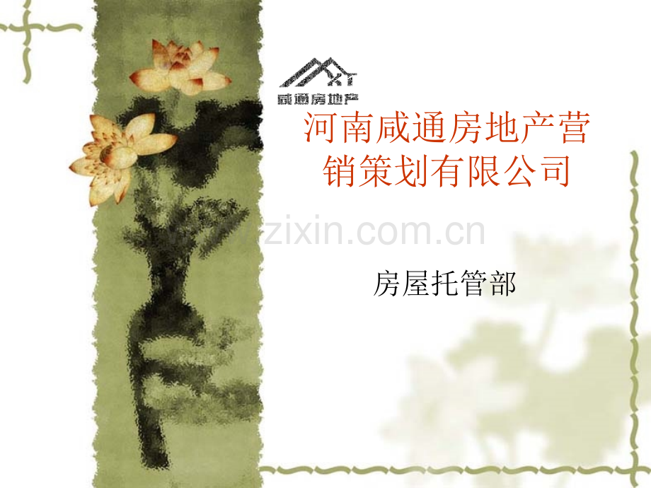 河南咸通房地产营.pptx_第1页