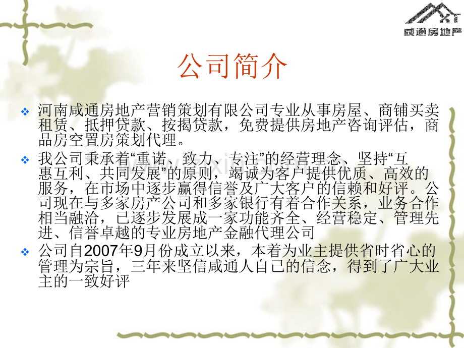 河南咸通房地产营.pptx_第2页