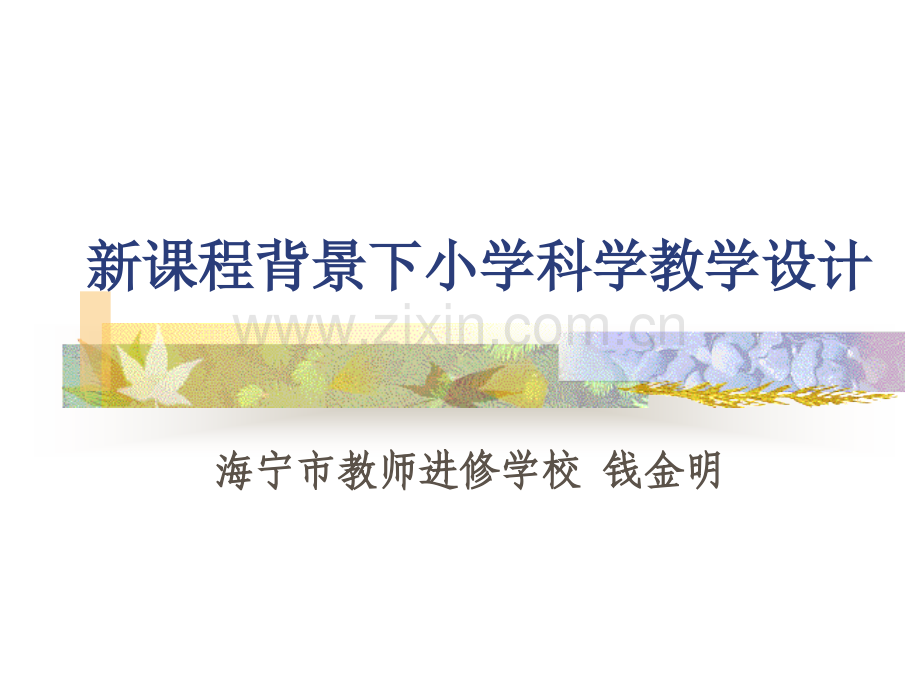 新课程背景下小学科学教学设计.pptx_第1页