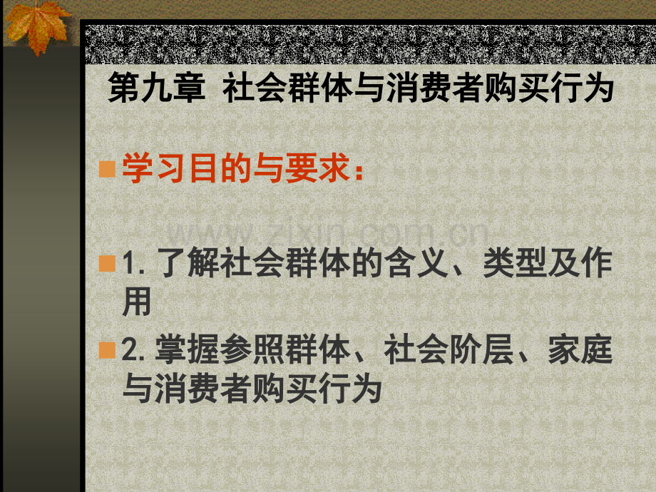 社会群体与消费者购买行为.pptx_第1页