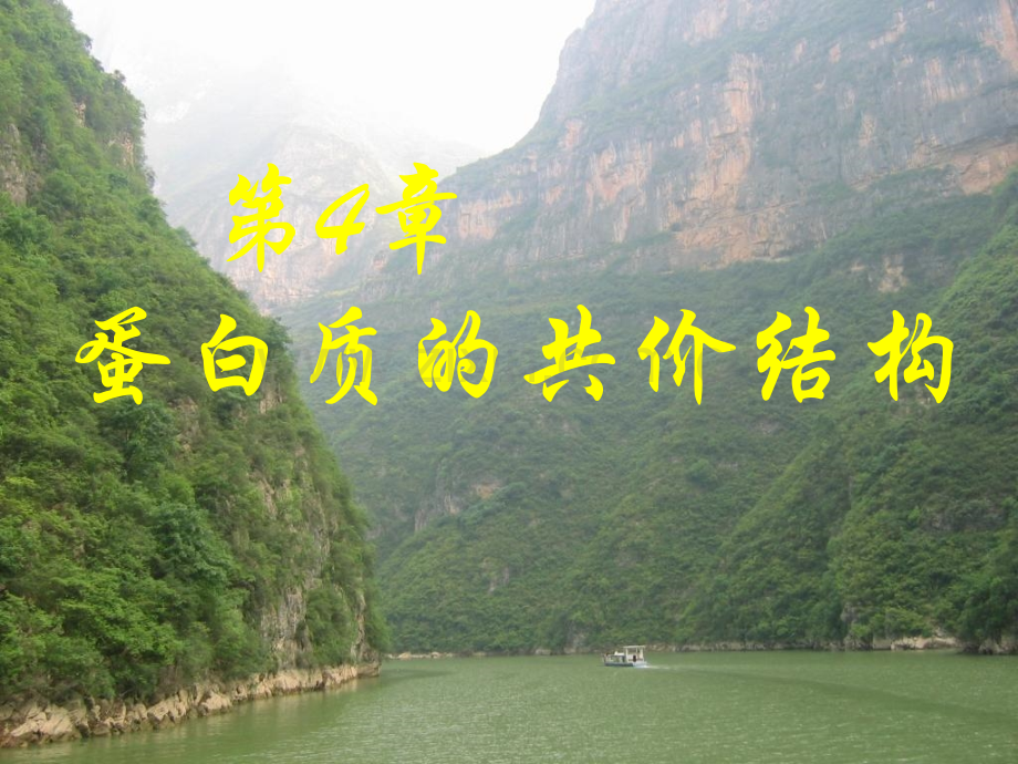 第四章蛋白质的共价结构.pptx_第1页