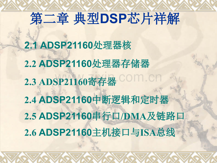 第二章-典型DSP芯片介绍.pptx_第2页