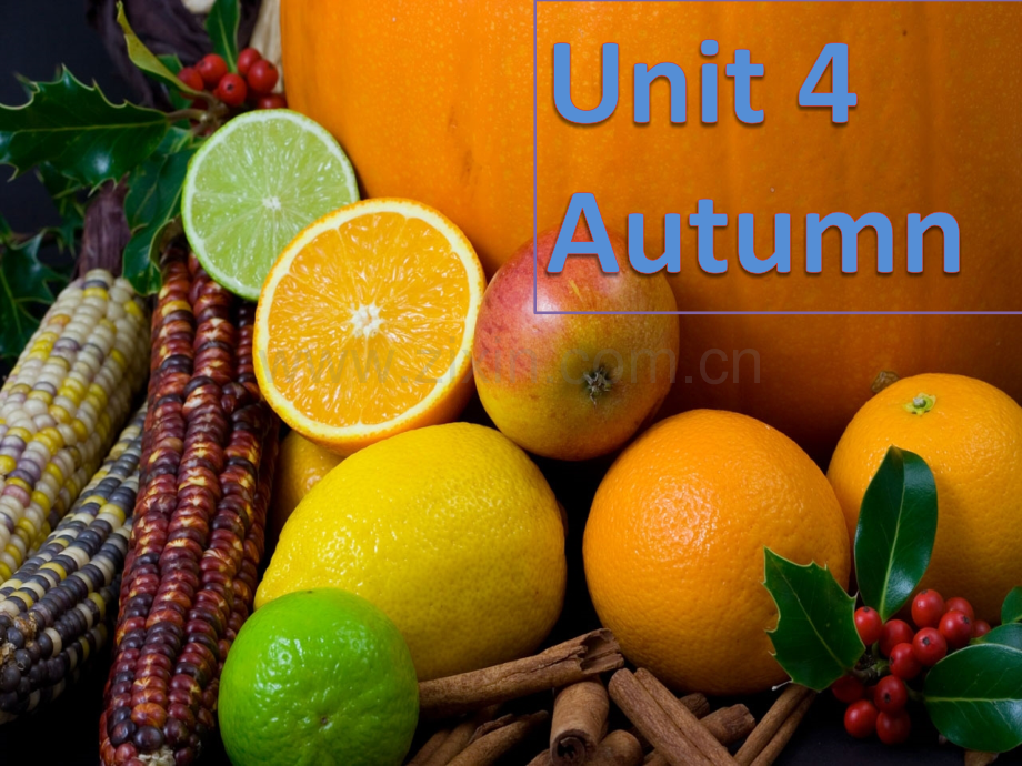 牛津译林版英语二年级上册Unit4Autumn课时.pptx_第2页