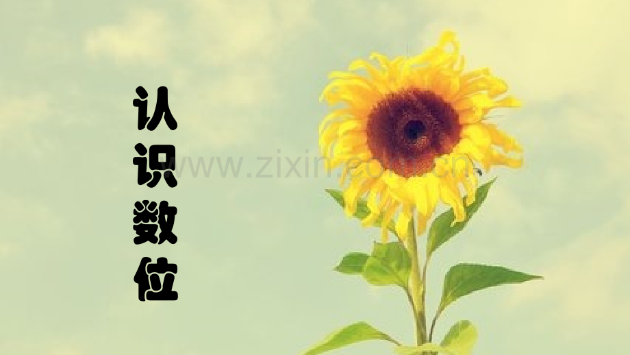 认识数位.pptx_第1页