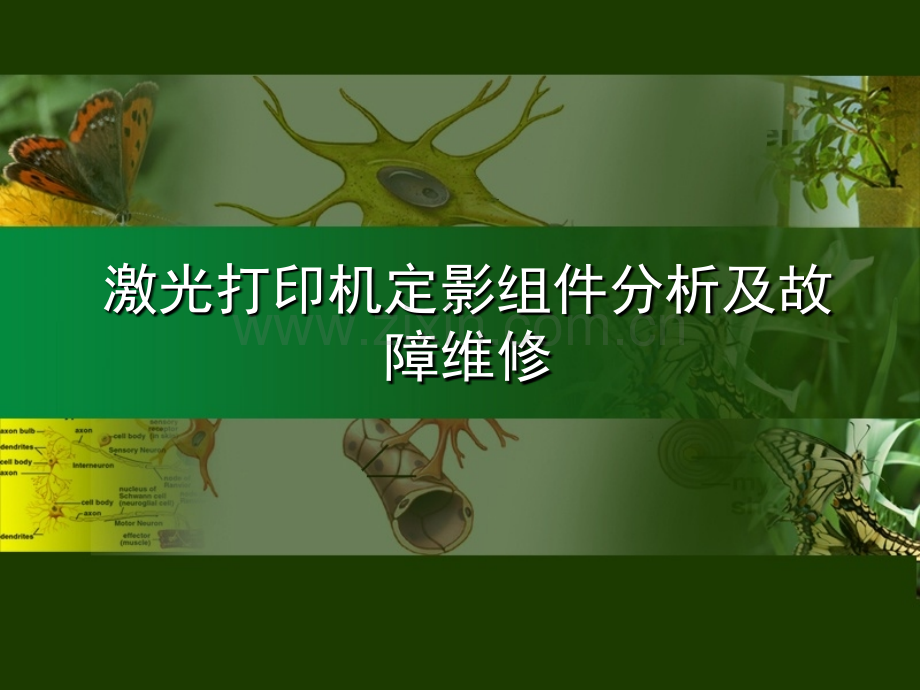 激光打印机定影组件分析及故障维修.pptx_第1页
