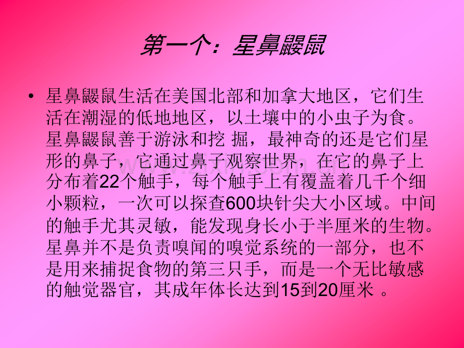盘点了一些奇怪罕见的动物.pptx_第1页
