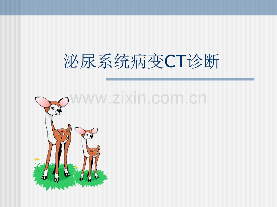 泌尿系统CT检查.pptx_第1页