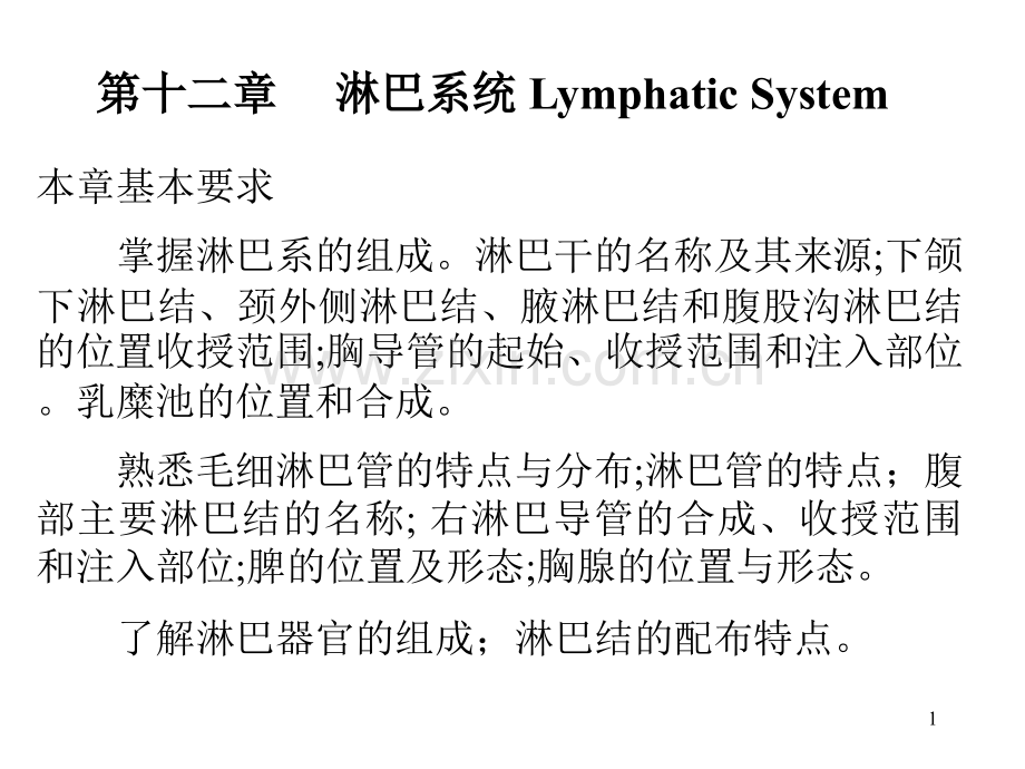 淋巴系统北医.pptx_第1页