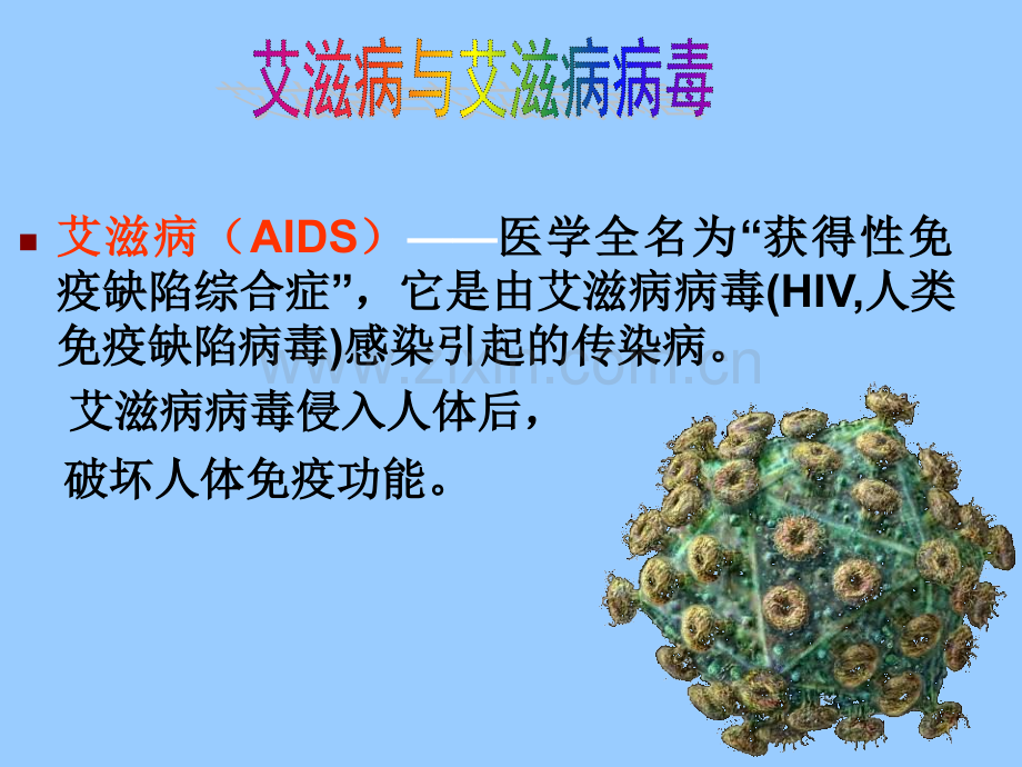 艾滋病基本知识.pptx_第2页