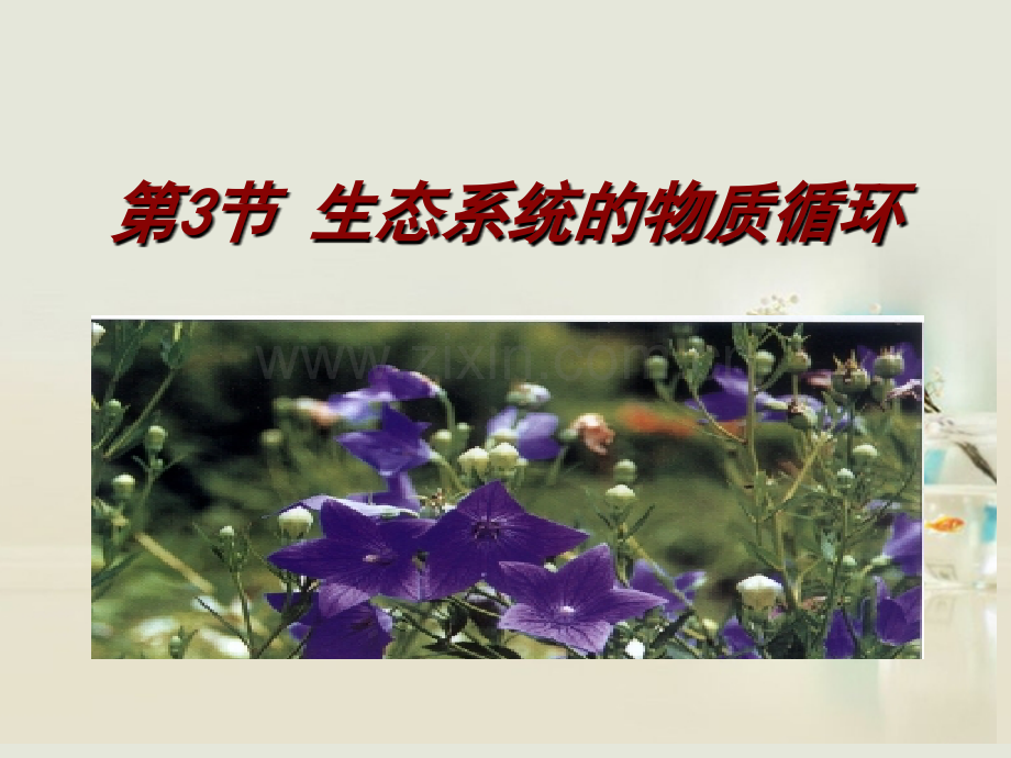 生态系统的物质循环2新人教版必修.pptx_第1页