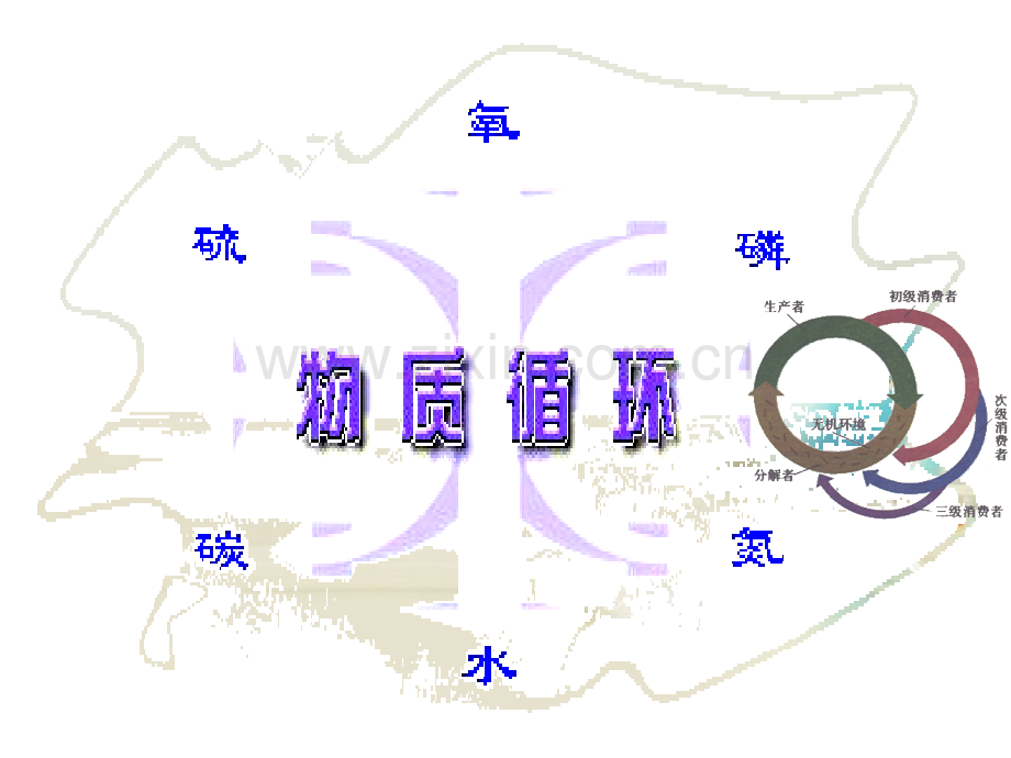 生态系统的物质循环2新人教版必修.pptx_第2页
