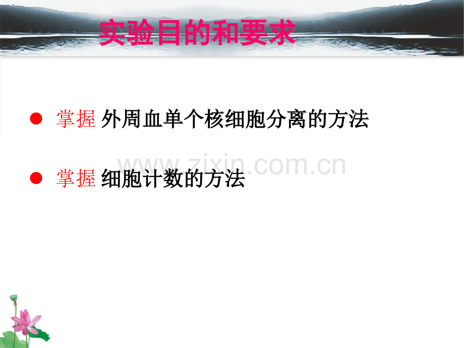 淋巴细胞的分离计数.pptx_第2页