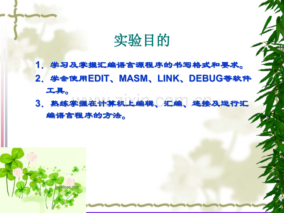 汇编语言实验.pptx_第2页