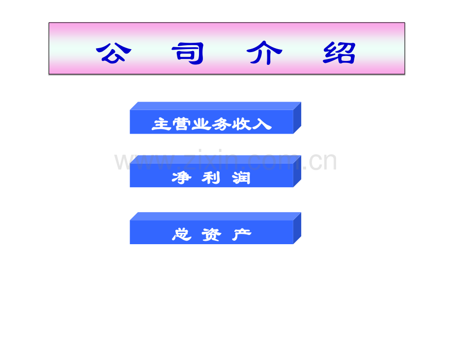 国美 苏宁苏宁财务状况分析.pptx_第2页