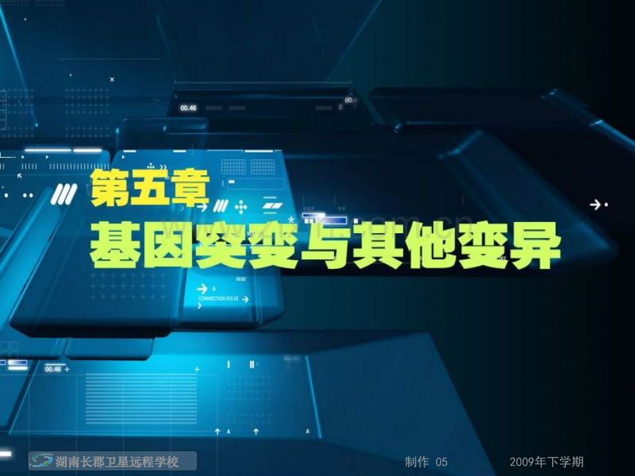 第5章第1节基因突变与基因重组.pptx_第2页