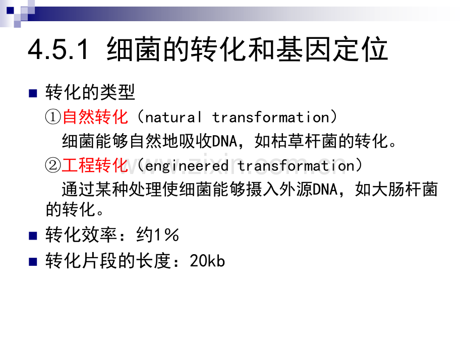 细菌和噬菌体的重组作图.pptx_第2页