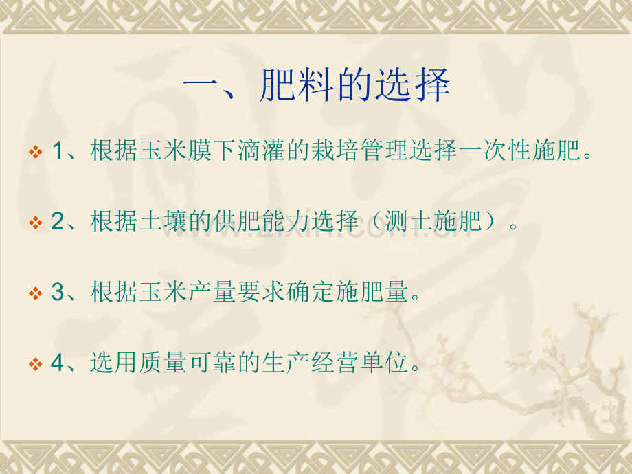 松山区玉米膜下滴.pptx_第1页