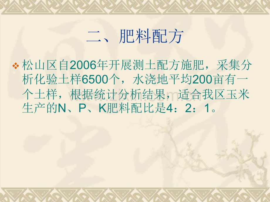 松山区玉米膜下滴.pptx_第2页