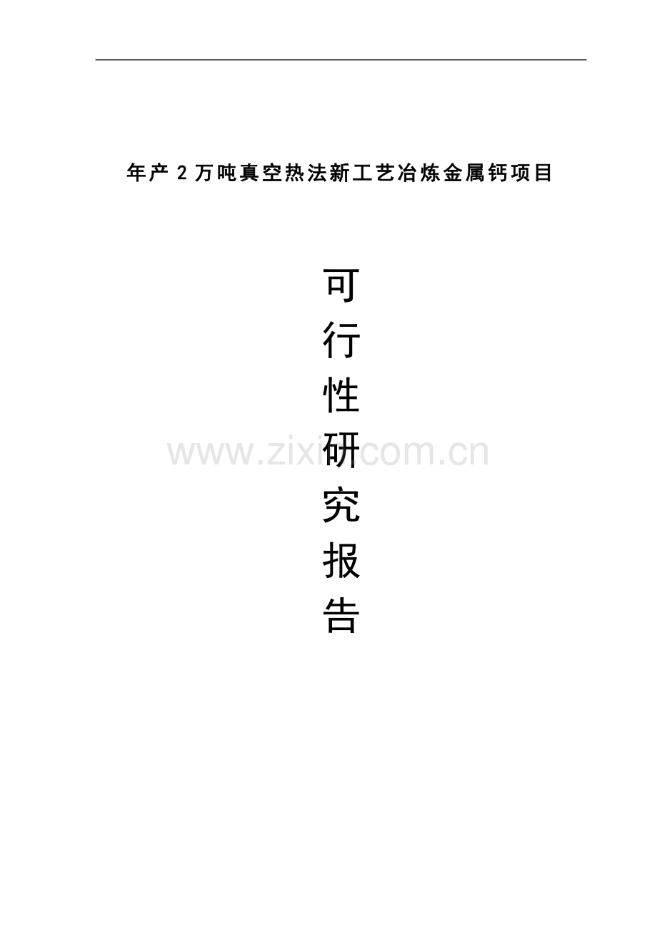 真空热法新工艺冶炼金属钙可行性研究报告.doc_第1页