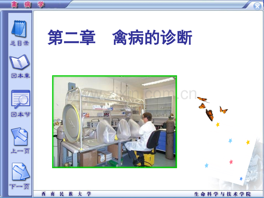 禽病学禽病的诊断西南民族大学.pptx_第1页