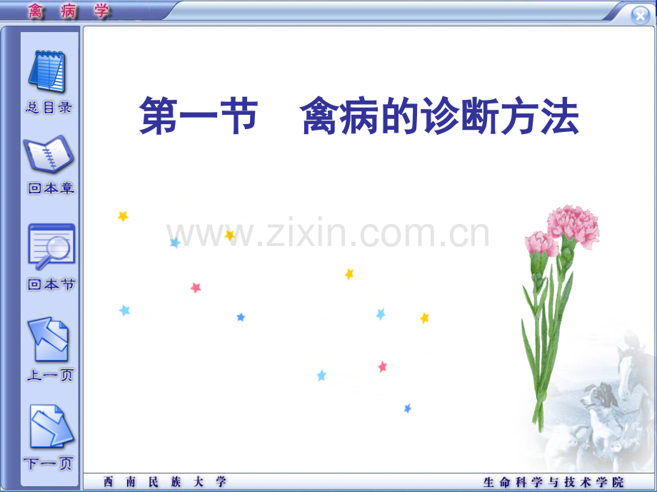 禽病学禽病的诊断西南民族大学.pptx_第2页